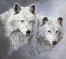 Схема вышивки «Пара волков»