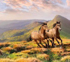 Схема вышивки «Дети ветра»