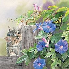 Схема вышивки «Котёнок на заборе»
