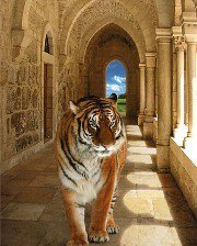 Схема вышивки «Тигр»