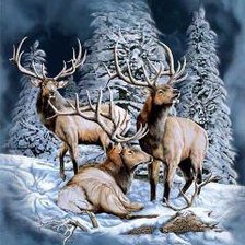 Олени в зимнем лесу