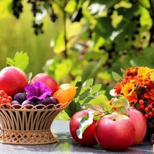 Схема вышивки «Фруктовый натюрморт»