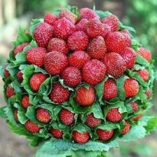 Летний букет