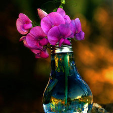 Схема вышивки «букет»