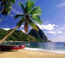 Море и пальмы