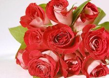 Схема вышивки «Букет красных роз»