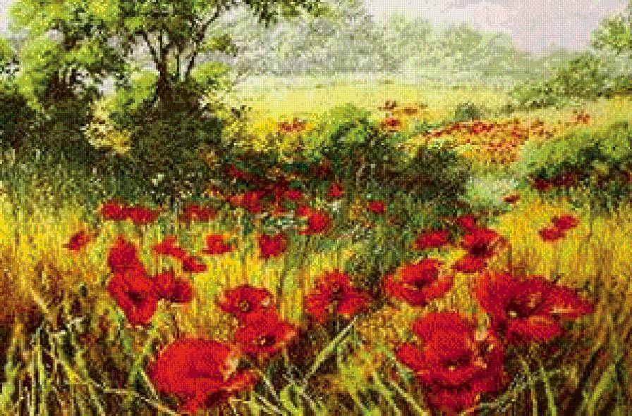 Маковое поле - предпросмотр