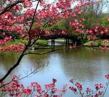 Схема вышивки «В парке у реки»