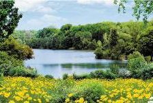 На берегу реки