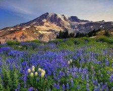Схема вышивки «Горный пейзаж»