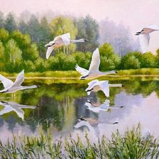 Схема вышивки «Дикие гуси»