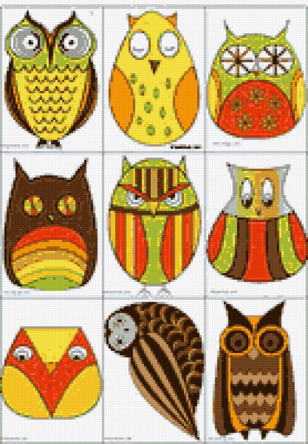 9 owl - предпросмотр
