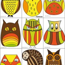 9 owl