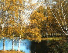 Схема вышивки «Осенний пруд»