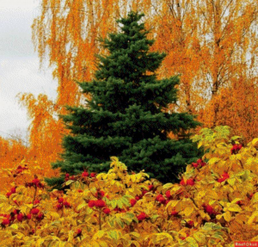 Сказочная осень - предпросмотр