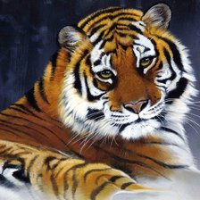 Схема вышивки «Тигр»