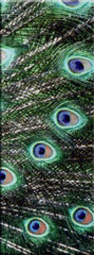 Триптих-Павлин ч.3 - птицы, триптих, павлин - предпросмотр