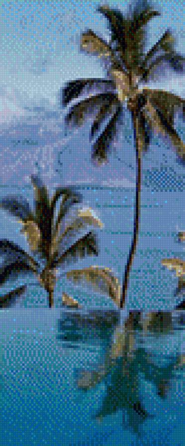 Palm - предпросмотр