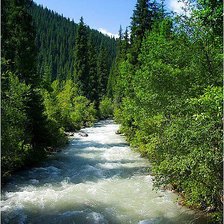 Схема вышивки «Горная речка»