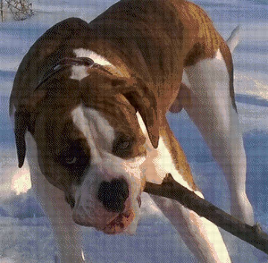 Тайгер 2 - предпросмотр