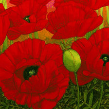 Схема вышивки «маки»