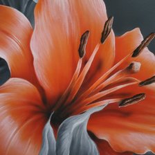 Схема вышивки «цветок лилии»