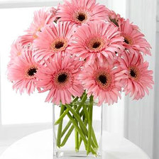 Схема вышивки «герберы. для себя.»