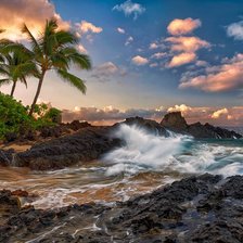 море пальмы