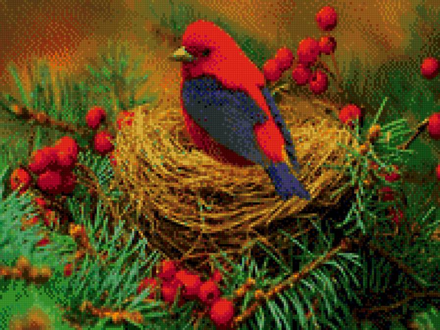 птичка - предпросмотр