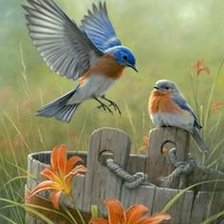 Схема вышивки «птички»