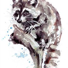 Схема вышивки «Енотик»