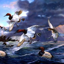 Схема вышивки «Птицы на море.»