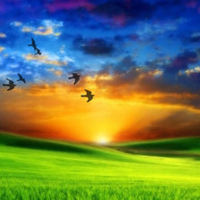 Схема вышивки «amanecer»