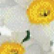 Предпросмотр схемы вышивки «нарчисы» (№1082181)