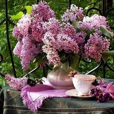 Схема вышивки «№1082581»