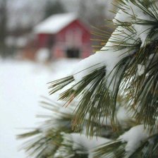 Схема вышивки «Xmas1»