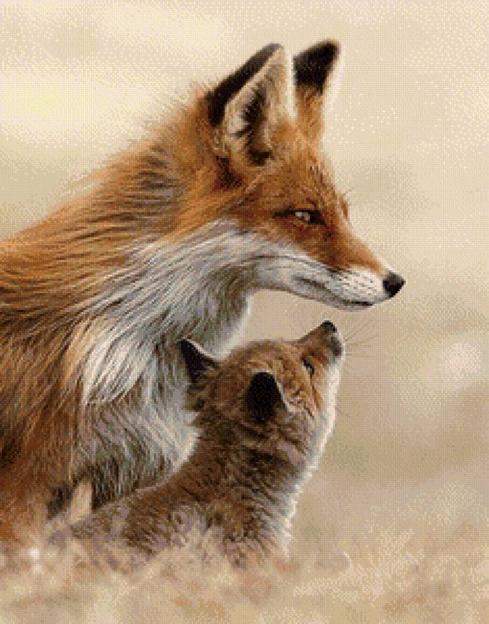 Лиса - малыш, мама, лиса, животные - предпросмотр