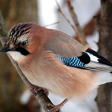 Схема вышивки «утро бывает разным»