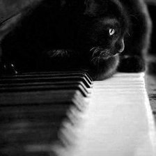 Схема вышивки «Blackcat1»