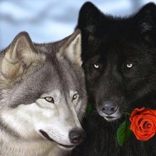 Схема вышивки «пара»