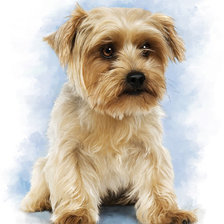 Схема вышивки «Собака»