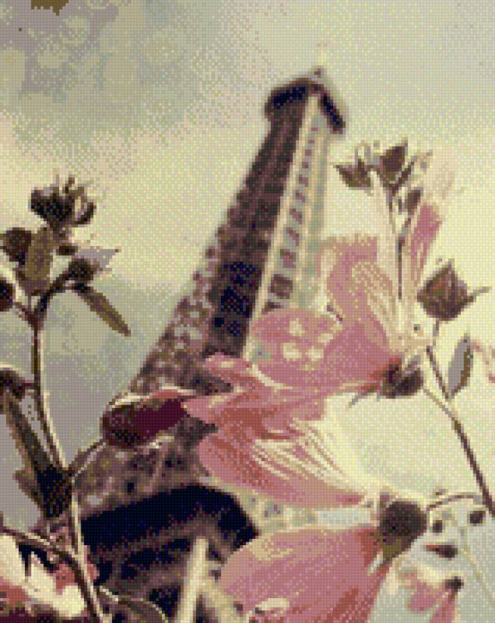 p11 - предпросмотр