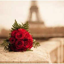 Схема вышивки «p223»