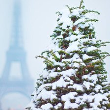 Схема вышивки «snow»