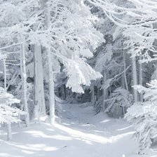 Схема вышивки «Зимний лес»