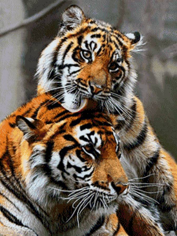 любимая - фауна - предпросмотр