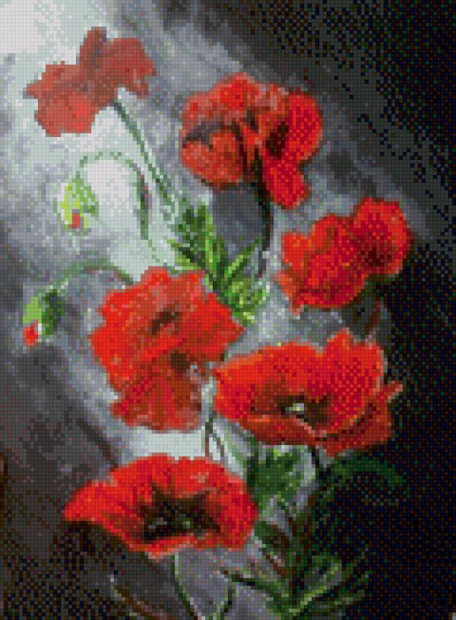 Маки на темном фоне - предпросмотр