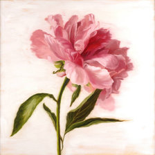 Схема вышивки «Пион 2016»