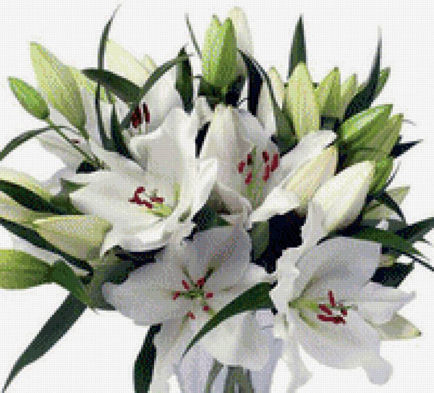 букет лилий - цветы, букет, лилии - предпросмотр