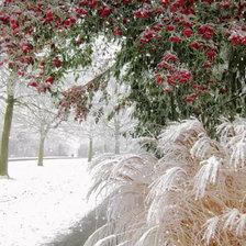 Схема вышивки «Зима»